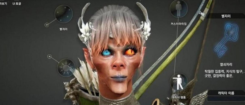 Illustration for article titled The Ugliest Characters of Black Desert Online